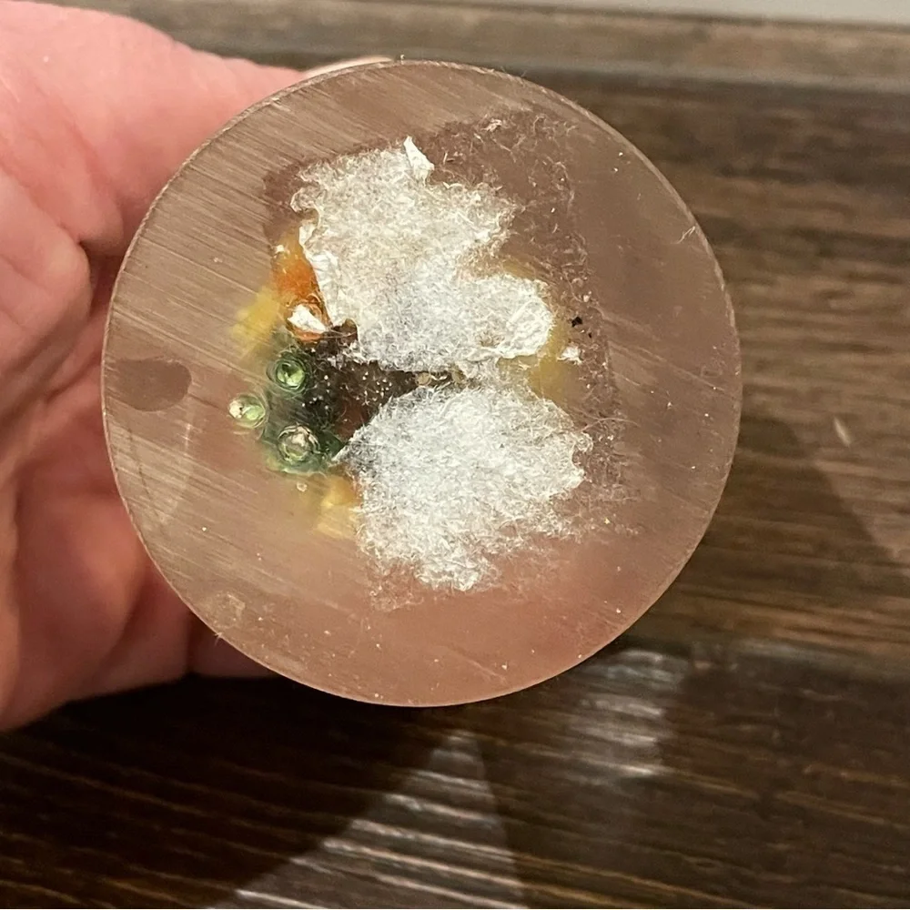 Vintage Daisyglas Company 50s/60s MCM Lucite/Acrylic Floral/Ladybug Paperweight